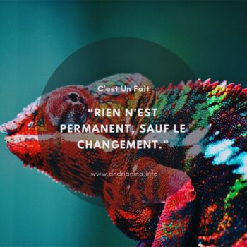 Rien n'est permanent, sauf le changement. Lionel Andrianina